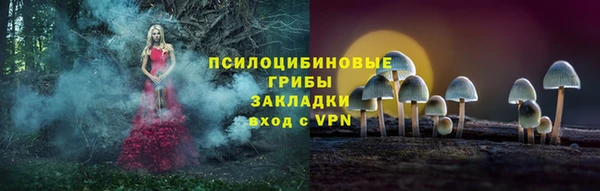 трава Абинск