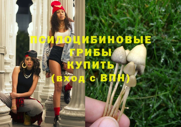 ПСИЛОЦИБИНОВЫЕ ГРИБЫ Абдулино