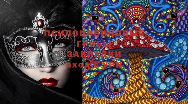 ПСИЛОЦИБИНОВЫЕ ГРИБЫ Абдулино